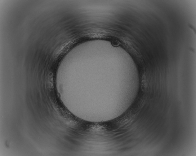 X0000100470547200807031830