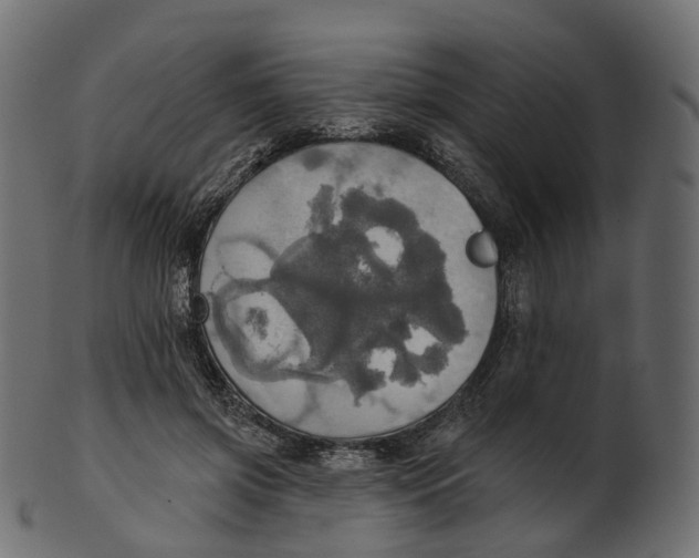 X0000100470549200807031830