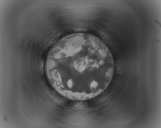 X0000100470550200807031830