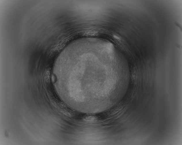 X0000100470551200807031830