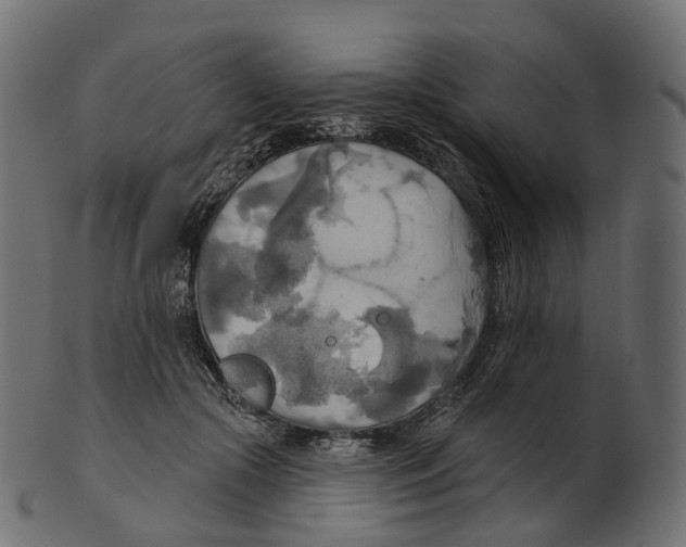 X0000100470553200807031830