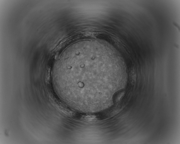 X0000100470554200807031830