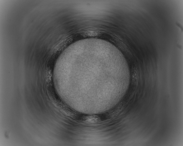 X0000100470555200807031830