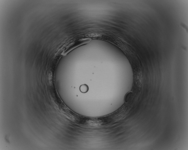 X0000100470556200807031830