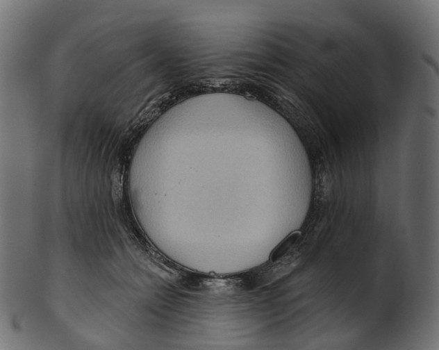 X0000100470558200807031830