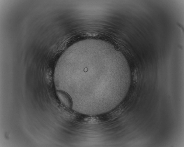 X0000100470559200807031830