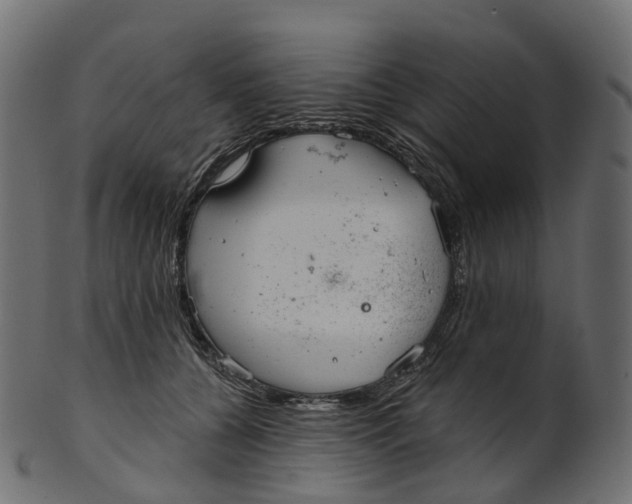 X0000100470560200807031830