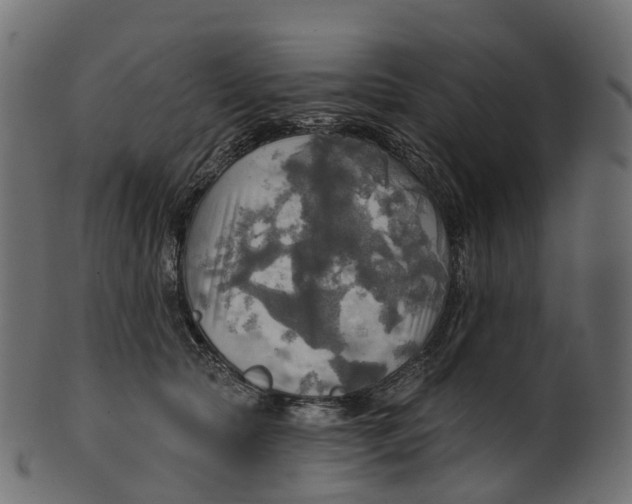 X0000100470561200807031830