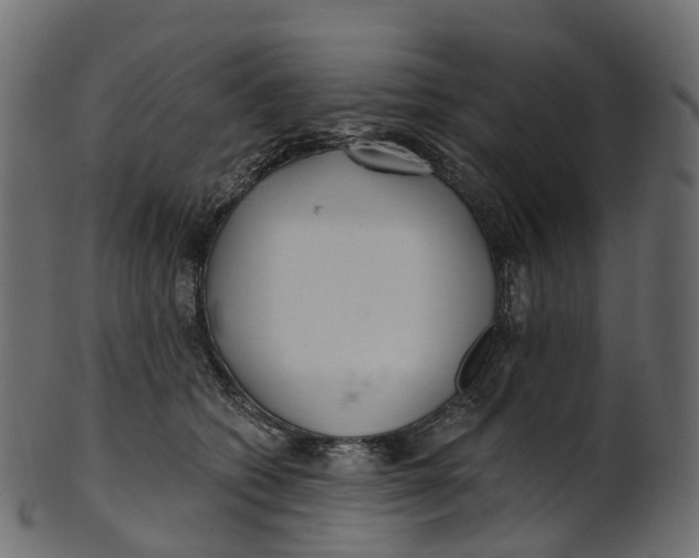 X0000100470562200807031830