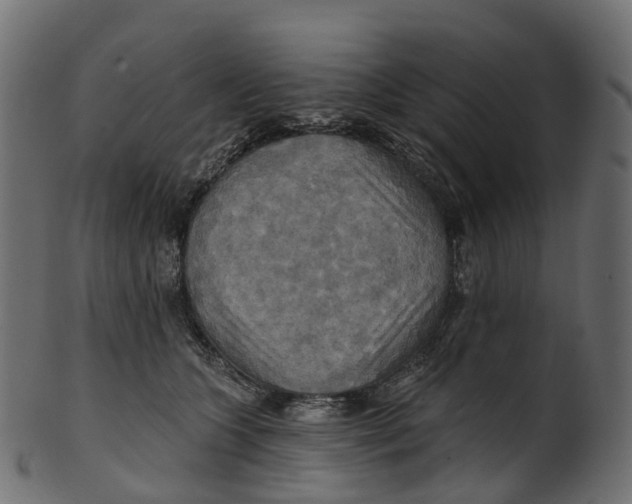 X0000100470563200807031830