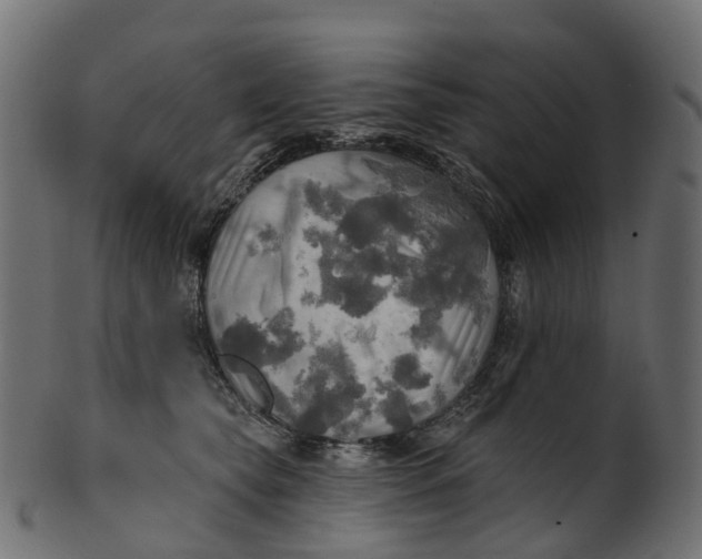 X0000100470565200807031830