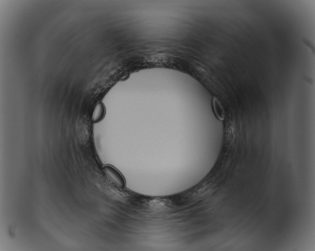 X0000100470566200807031830