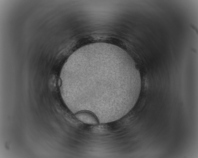 X0000100470567200807031831