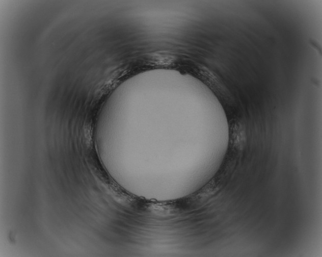 X0000100470568200807031831