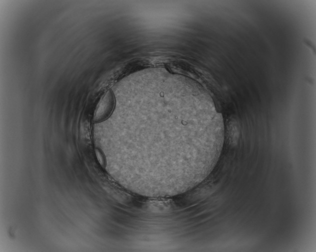 X0000100470571200807031831