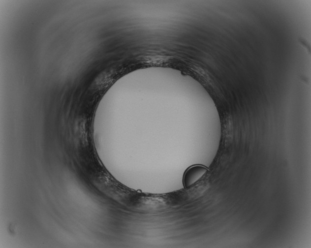 X0000100470572200807031831