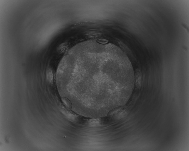 X0000100470574200807031831