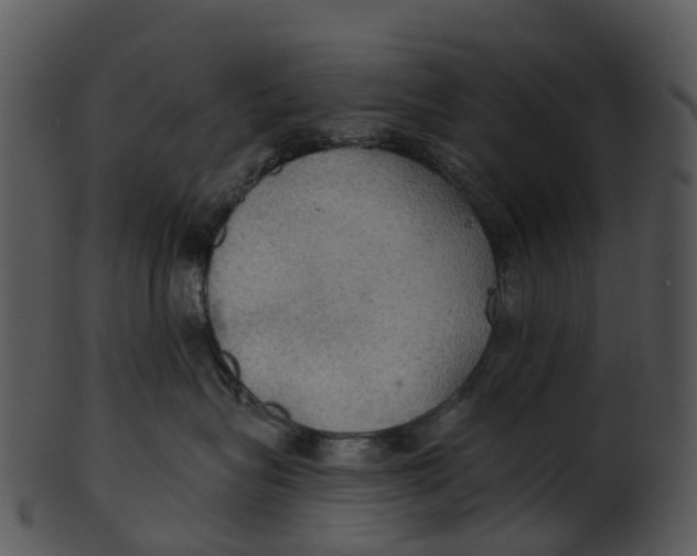 X0000100470575200807031831