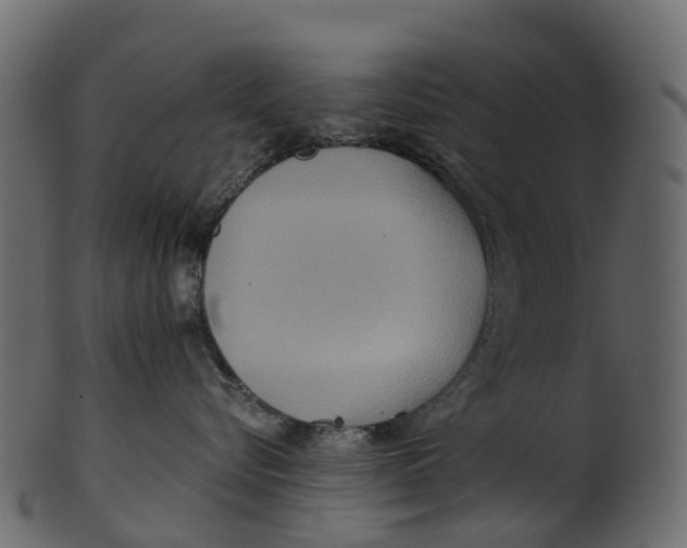 X0000100470576200807031831