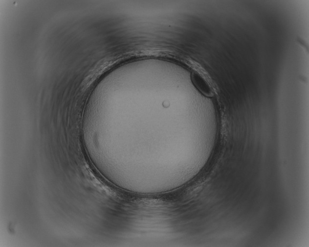 X0000100470577200807031830