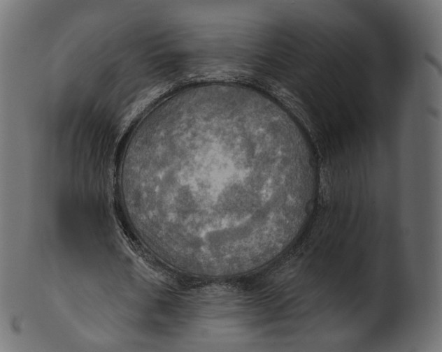 X0000100470578200807031830