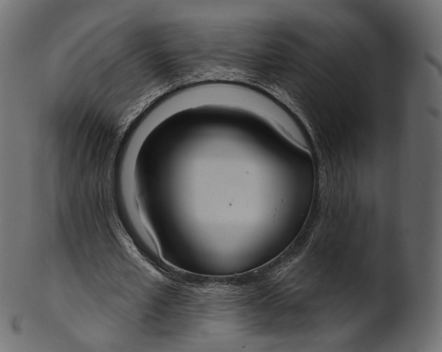 X0000100470581200807031830