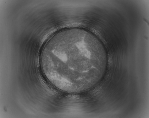 X0000100470582200807031830