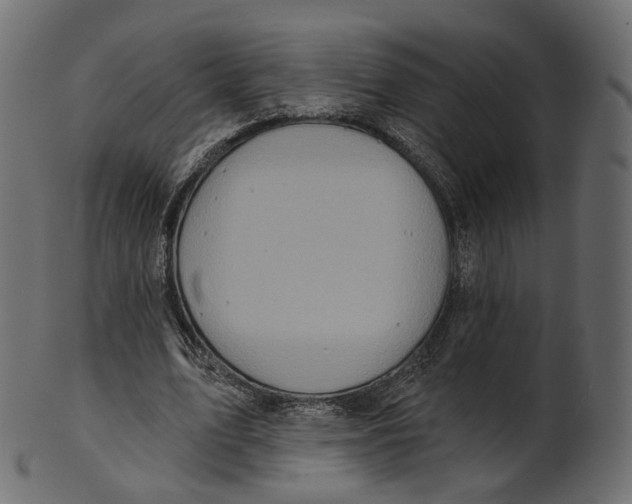 X0000100470583200807031830