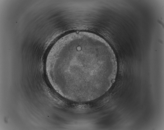 X0000100470584200807031830