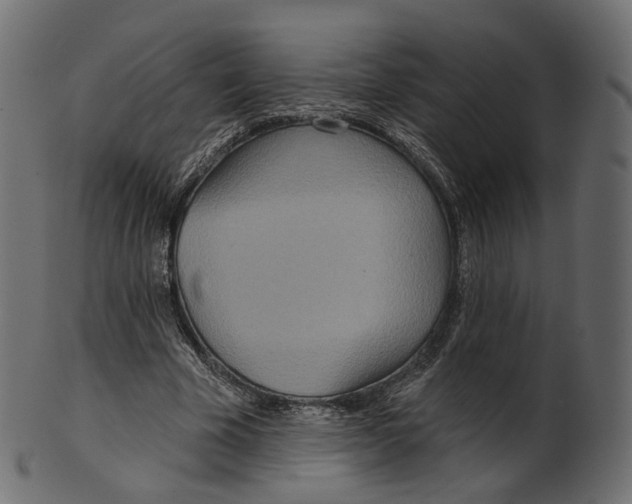 X0000100470585200807031830