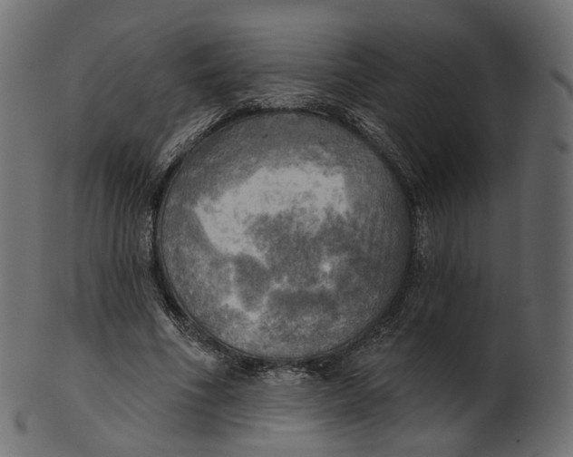 X0000100470586200807031830