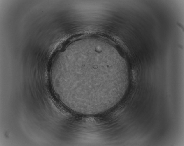 X0000100470588200807031830