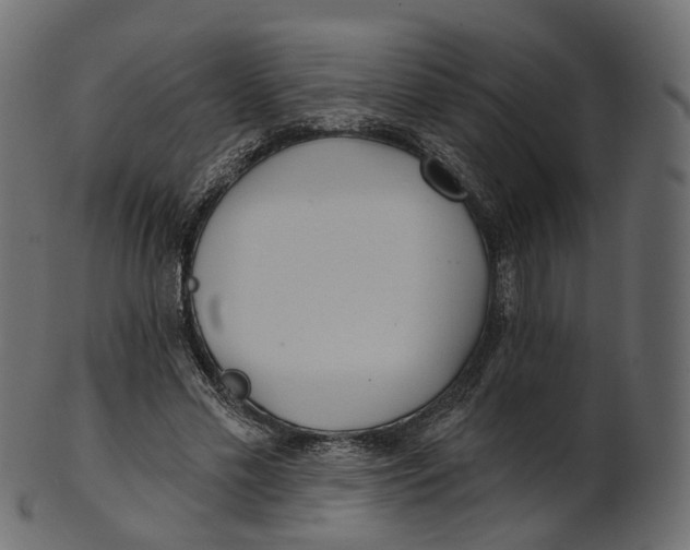 X0000100470589200807031830