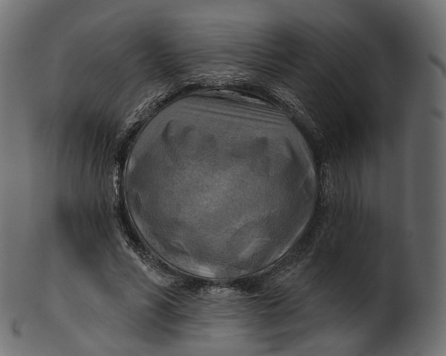 X0000100470590200807031830