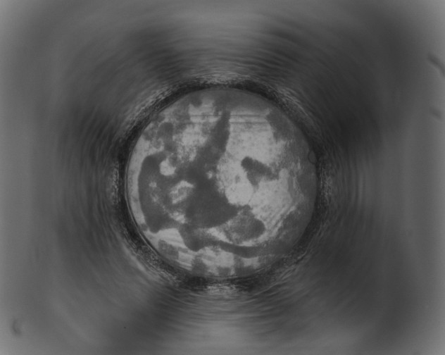 X0000100470591200807031830