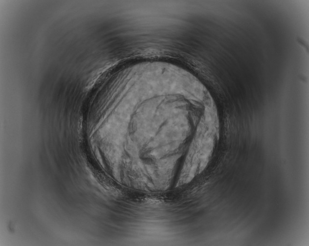 X0000100470592200807031830