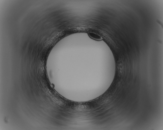 X0000100470593200807031830