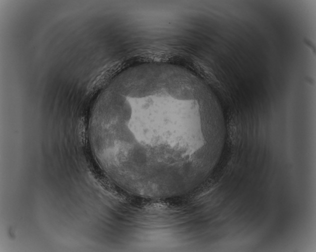 X0000100470594200807031830