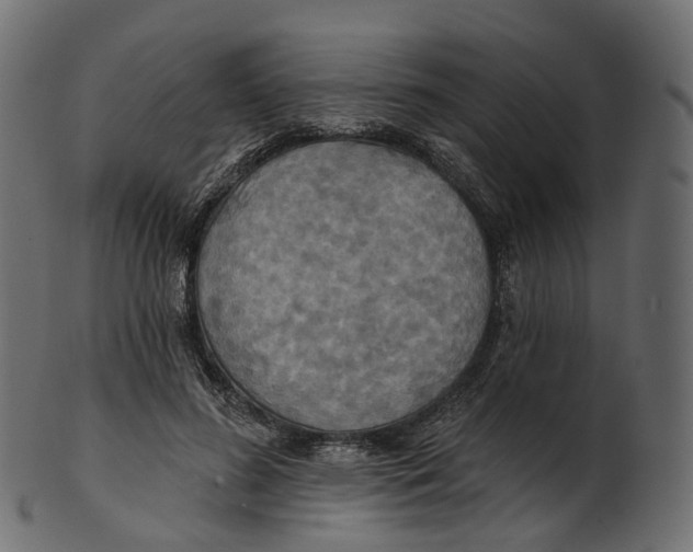 X0000100470596200807031830