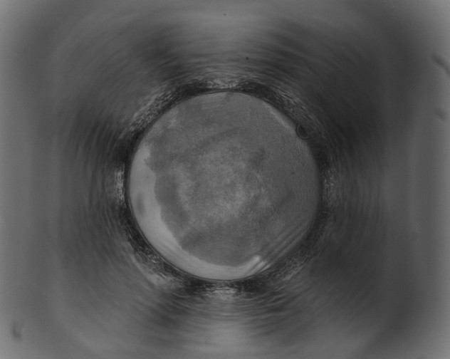 X0000100470598200807031829