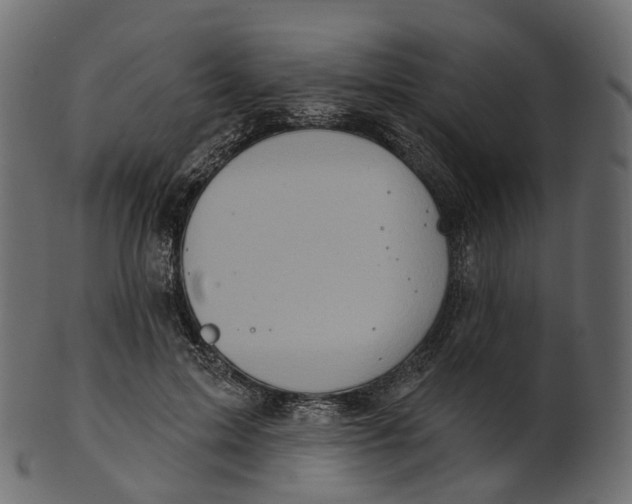 X0000100470599200807031829