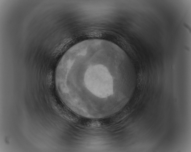 X0000100470600200807031829