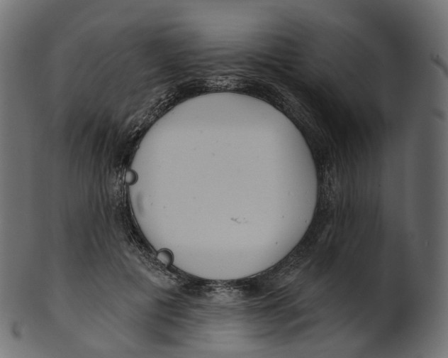 X0000100470601200807031829