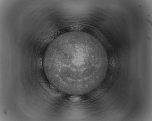 X0000100470602200807031829