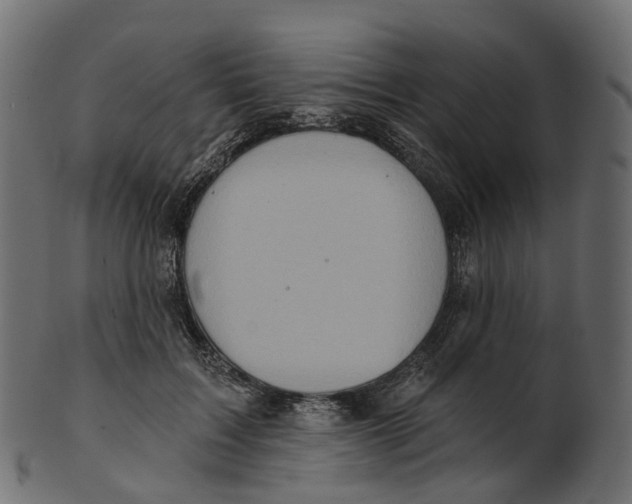 X0000100470603200807031829