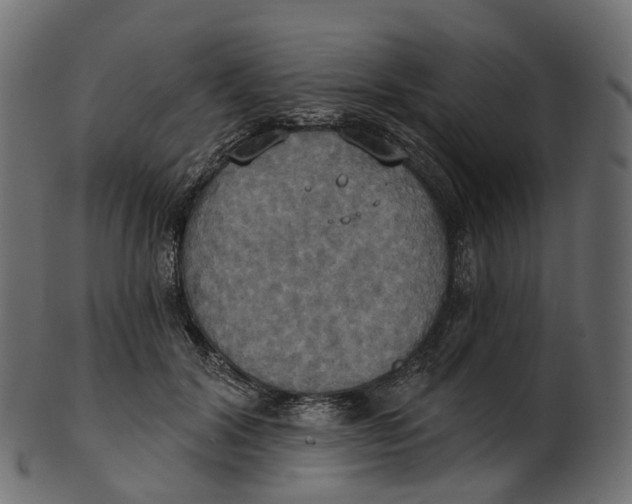 X0000100470604200807031829