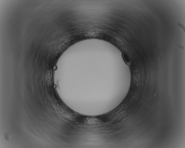 X0000100470605200807031829