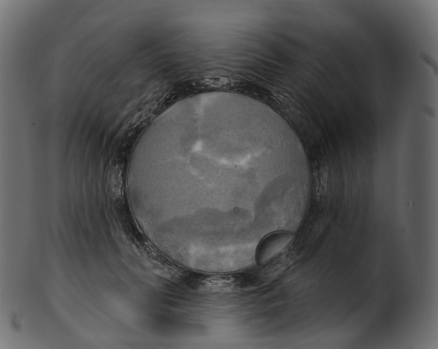 X0000100470606200807031829