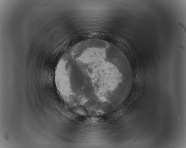 X0000100470607200807031829