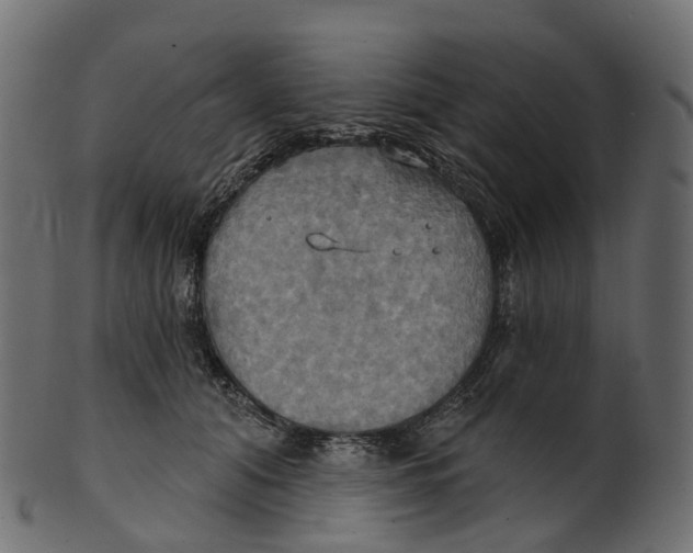 X0000100470608200807031829